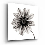 Flower Glass Wall Art