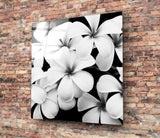 Black and White Flowers Glass Wall Art