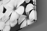 Black and White Flowers Glass Wall Art