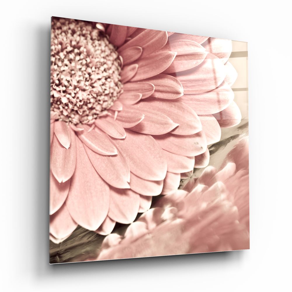 Pink Flower Glass Wall Art