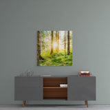 Forest Glass Wall Art