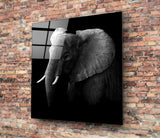 Elephant Glass Wall Art