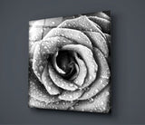 Rose Glass Wall Art