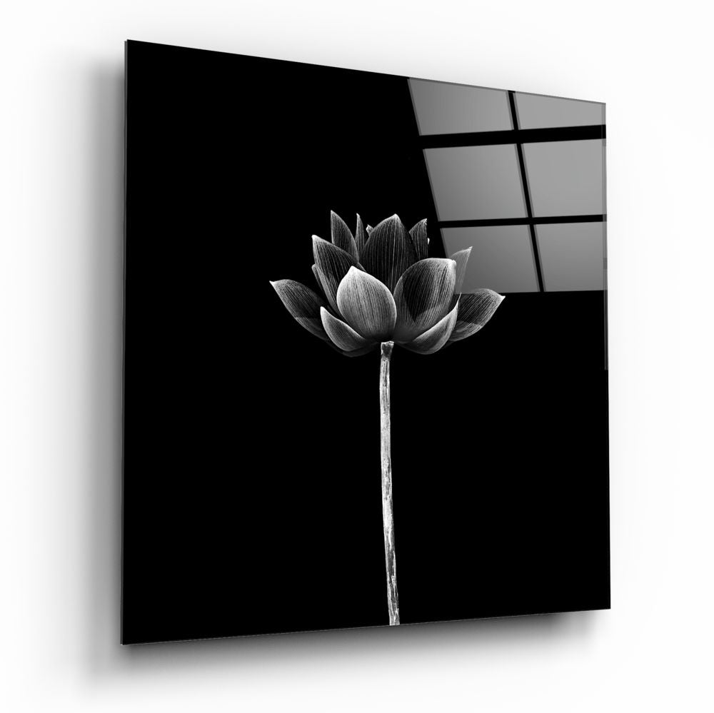 Floral Glass Wall Art