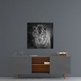 Tiger Glass Wall Art