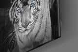 Tiger Glass Wall Art