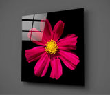 Red Flower Glass Wall Art