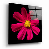 Red Flower Glass Wall Art