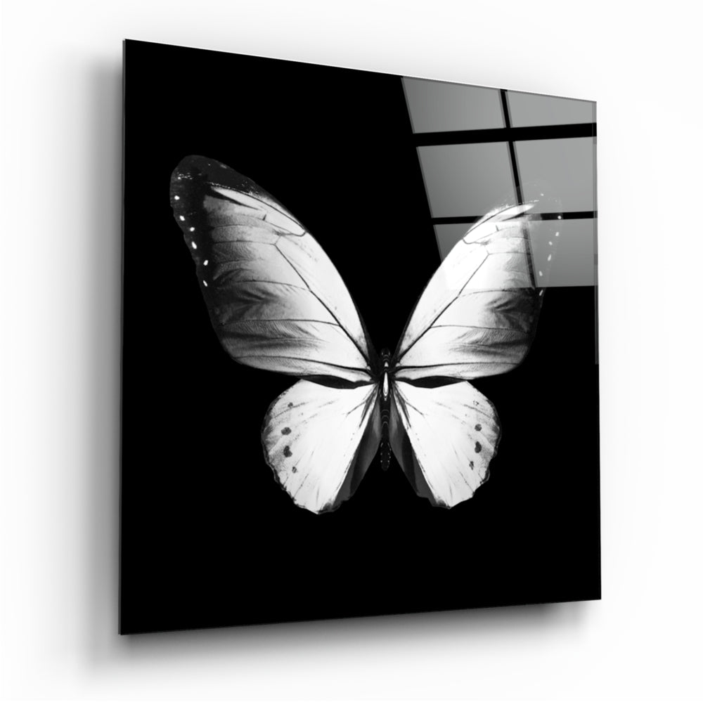 The Elegance of the Butterfly Glass Wall Art