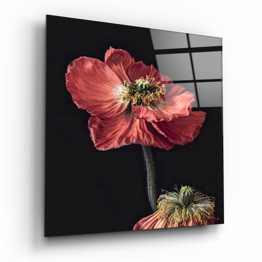 Flower Glass Wall Art