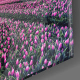 Tulip Field Glass Wall Art