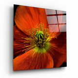 Flower Glass Wall Art | Insigne Art Design