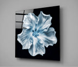 Flower Glass Wall Art | Insigne Art Design