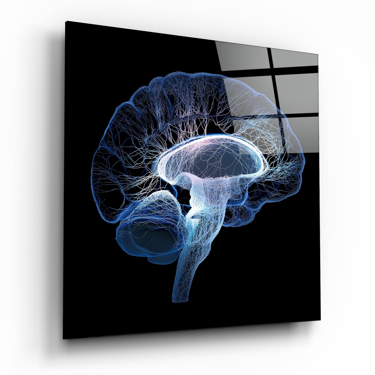 Brain Glass Wall Art | Insigne Art Design