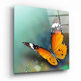 Butterfly Glass Wall Art | Insigne Art Design