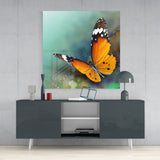 Butterfly Glass Wall Art | Insigne Art Design