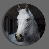 Horse Glass Wall Art