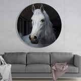 Horse Glass Wall Art