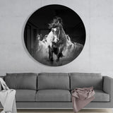 Horses Glass Wall Art