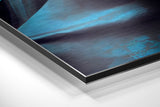 Brushed Aluminium Dibond Wall Art