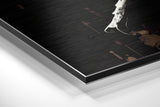 Brushed Aluminium Dibond Wall Art