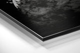 Brushed Aluminium Dibond Wall Art