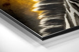 Brushed Aluminium Dibond Wall Art