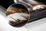 Brushed Aluminium Dibond Wall Art