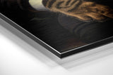 Brushed Aluminium Dibond Wall Art