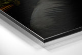 Brushed Aluminium Dibond Wall Art