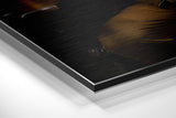 Brushed Aluminium Dibond Wall Art