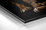 Brushed Aluminium Dibond Wall Art