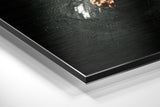 Brushed Aluminium Dibond Wall Art