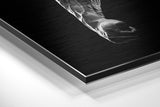 Brushed Aluminium Dibond Wall Art