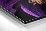 Brushed Aluminium Dibond Wall Art