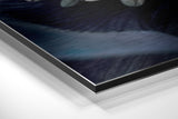 Brushed Aluminium Dibond Wall Art