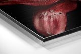 Brushed Aluminium Dibond Wall Art