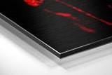 Brushed Aluminium Dibond Wall Art