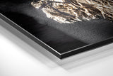 Brushed Aluminium Dibond Wall Art