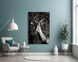 Deer Glass Wall Art