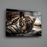 Tiger Glass Wall Art