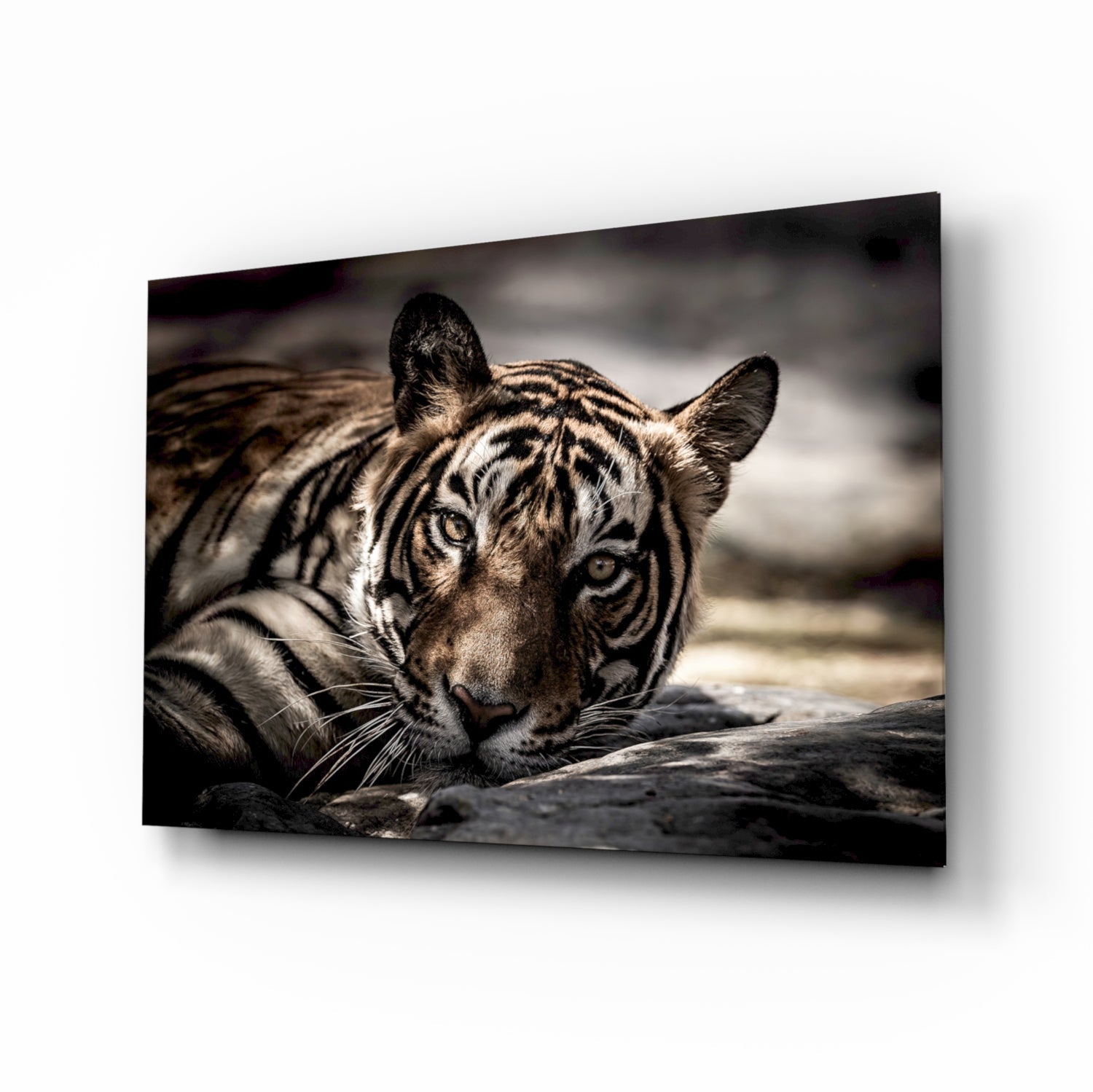 Tiger Glass Wall Art