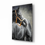 Horse Glass Wall Art