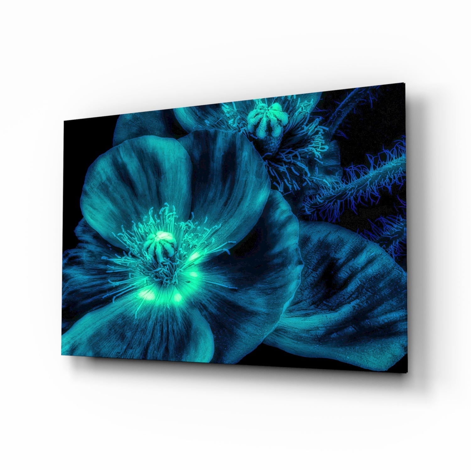 Malvales Flower Glass Wall Art