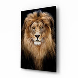 Lion Glass Wall Art