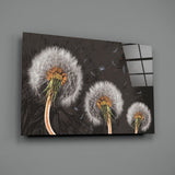 Dandelions Glass Wall Art