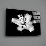 Lilies Glass Wall Art