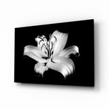 Lilies Glass Wall Art