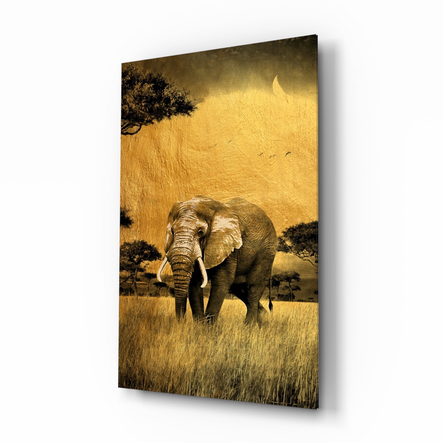 Elephant Glass Wall Art