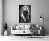 Tiger's Wrath Glass Wall Art || Designer's Collection